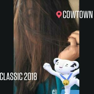 Meet your Posher, Veronica